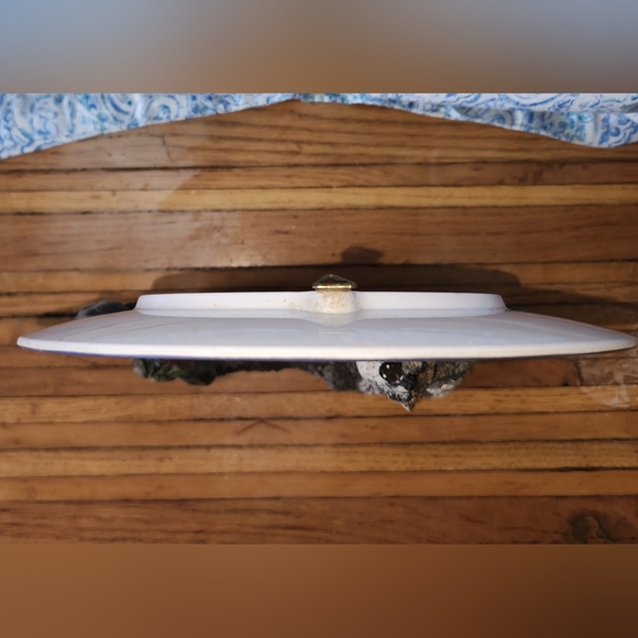 MIDNIGHT SERENADE Realm of the Wolf 3D PLATE Al Agnew Wolves 1997 Hamilton - Picture 6 of 8